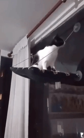 Gravity lesson
