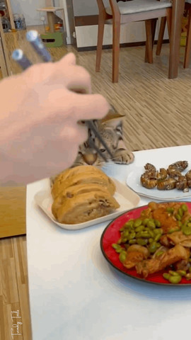 Where is my food