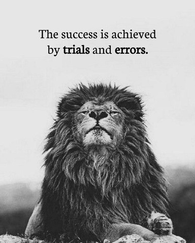The success is achieved by trials and errors