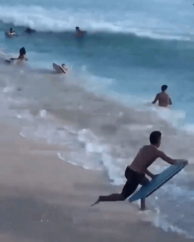 Did you just see that