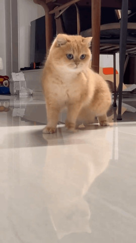 Acting like a baby
