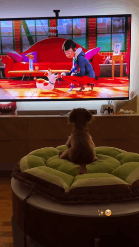 Puppy watching cartoon