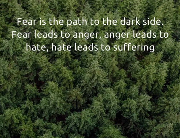 Fear is the path to the dark side