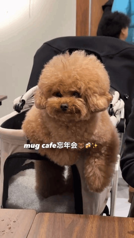 Mug cafe
