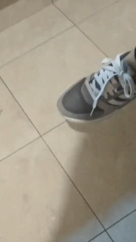 Sensitive cat