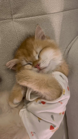 Shy baby