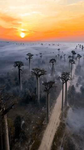 East africa