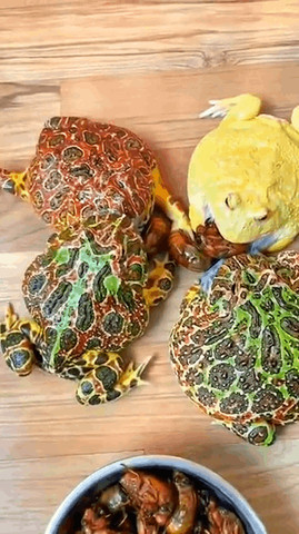 Snack time