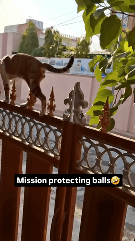 its dangerous way