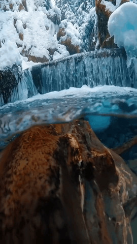 Alaska