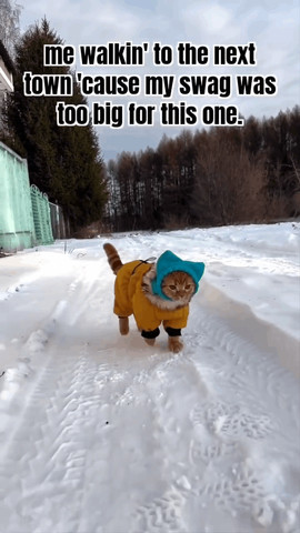 Me walking to the next town 