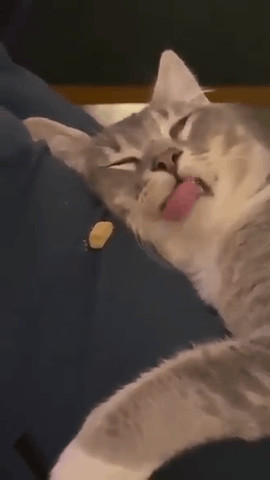 dreaming about food