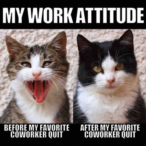 My work attitude