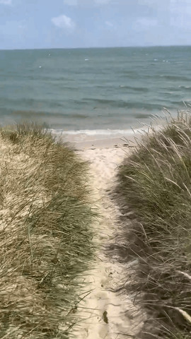 Sylt!