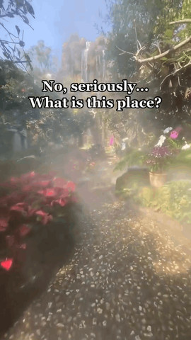 Stunning place