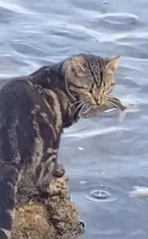 Caught a fish