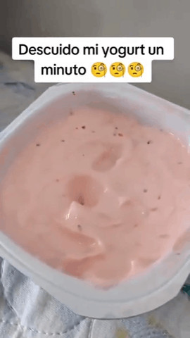 Yummy yogurt