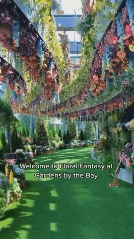 Floral fantasy of Singapore