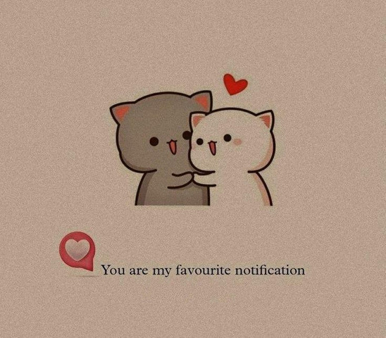 You are my favorite notification