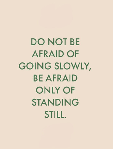 Do not be afraid of going slowly