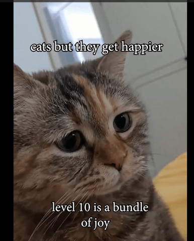 Its Friday so you know what that means...