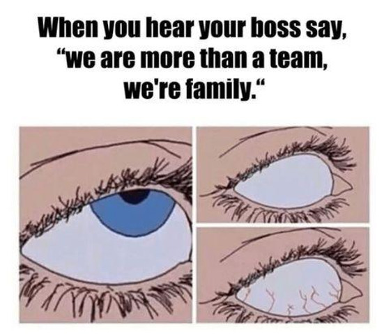 When you hear your boss say, we are more than a team, we