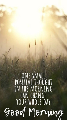 One small positive thought in the morning can change your whole day