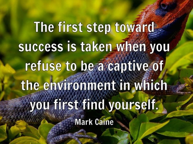 The first step toward success is taken when you refuse to be a captive of the environment