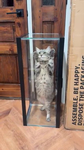Help me, I can