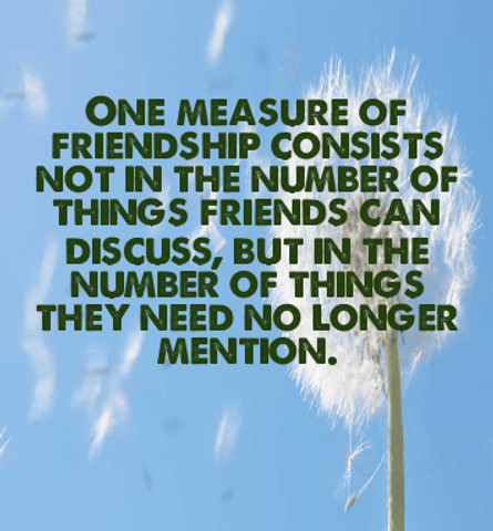 One measure of friendship consists not in the number of things friends can discuss