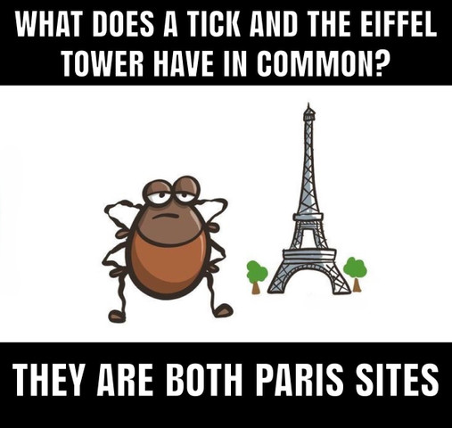 What does a tick and the Eiffel Tower have in common?