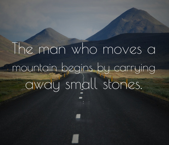 The man who moves a mountain begins by carrying away small stones