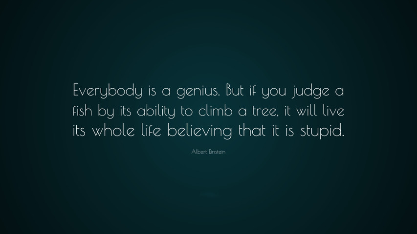 Everybody is a genius