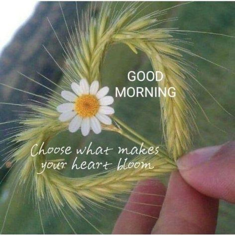 Choose what makes your heart bloom