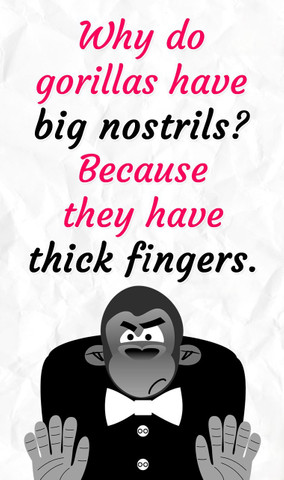 Why do gorillas have big nostrils?