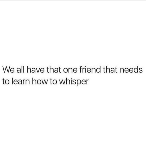 We all have that one friend who never learned how to whisper