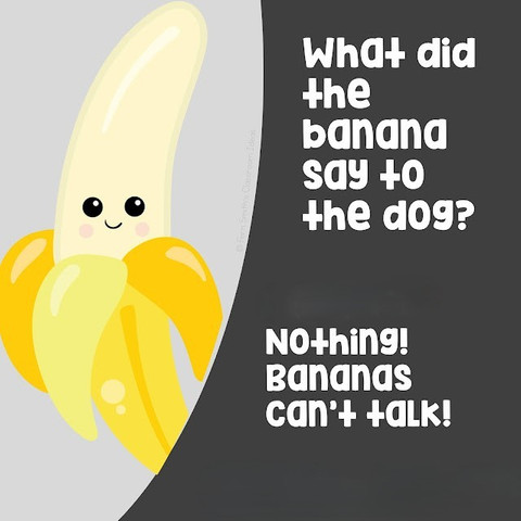 What did the banana say to the dog?