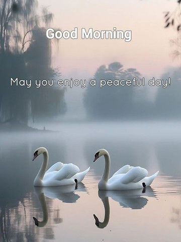 May you enjoy a peaceful day
