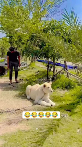 When the Lion Gets Spooked! 😜🦁