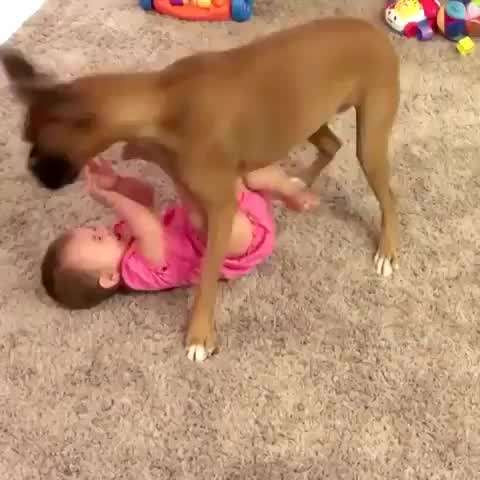 Baby Giggles & Puppy Wiggles 🐶👶