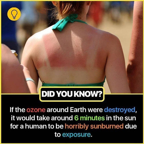 If the ozone around Earth were destroyed, it would take around 6 minutes horribly sunburned