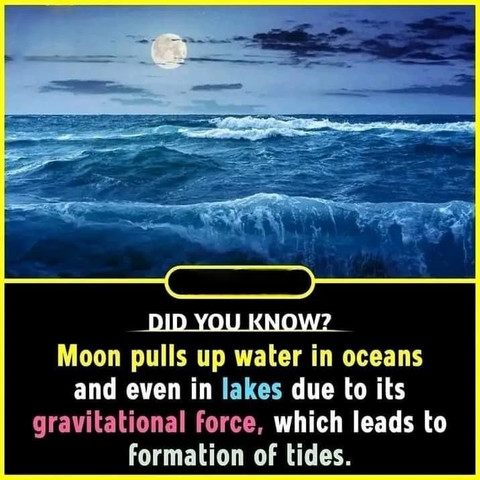 Moon pulls up water in oceans and even in lakes due to its gravitational force, which leads to formation of tides