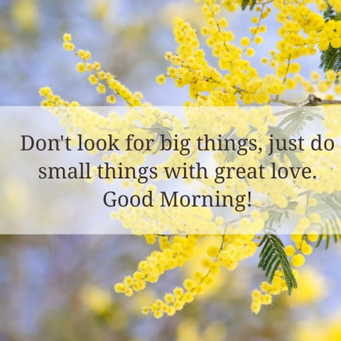 Don’t look for big things, just do small things with great love