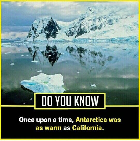 Once upon a time, Antarctica was as warm as California