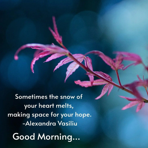 Sometimes the snow of your heart melts, making space for your hope