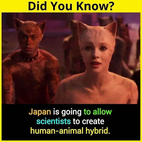 Japan is going to allow scientists to create human-animal hybrid