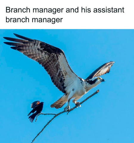 Branch manager and his assistant branch manager