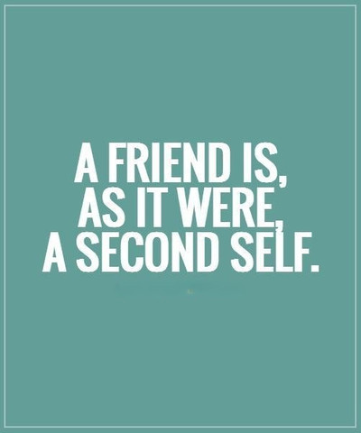 A friend is, as it were a second self