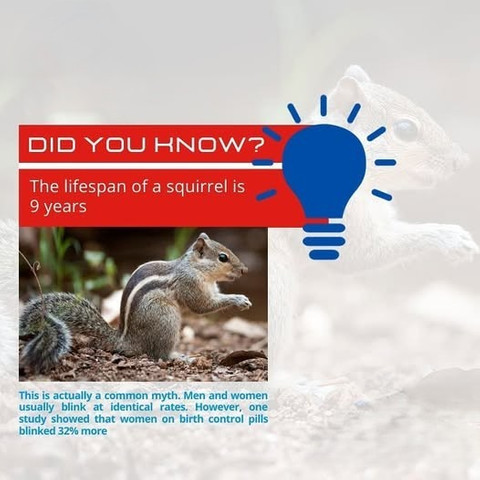 The lifespan of a squirrel is 9 years