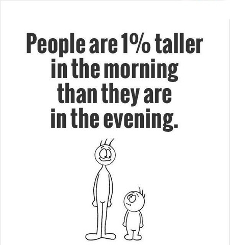 People are 1% taller in the morning than they are in the evening